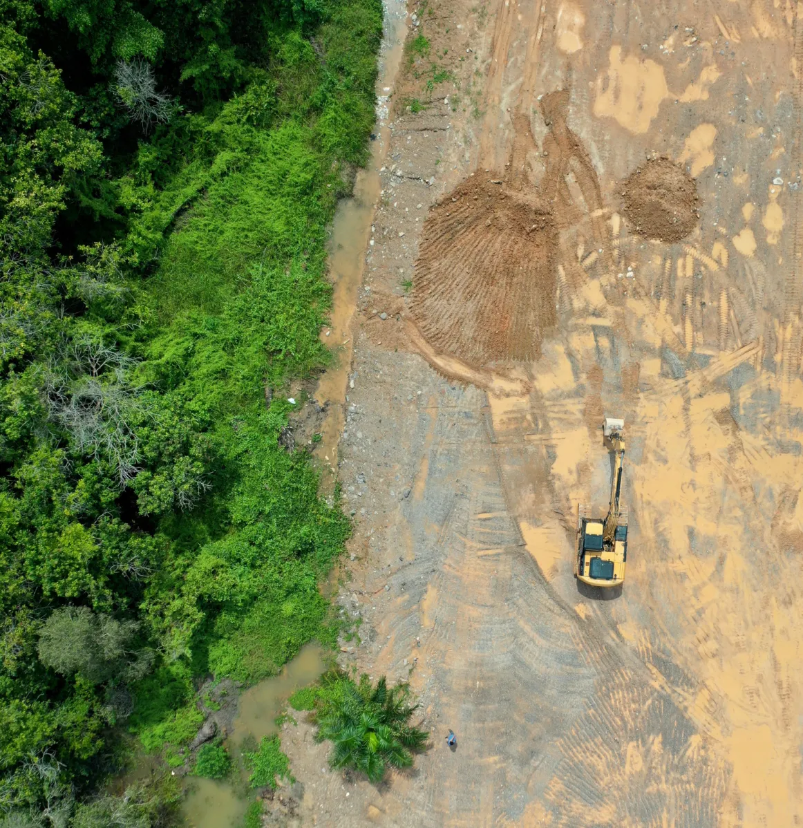 Aerial drone view of deforestation for palm oil industry.