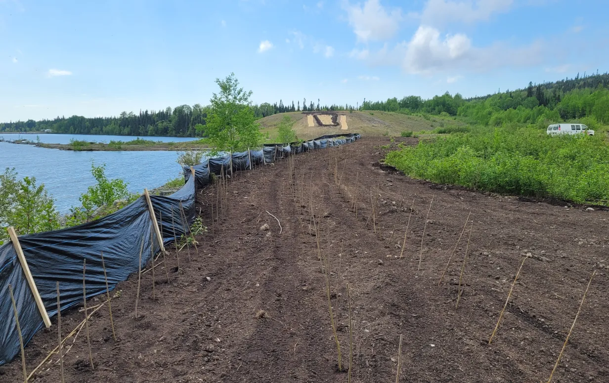 After restoration of waste rock piles.