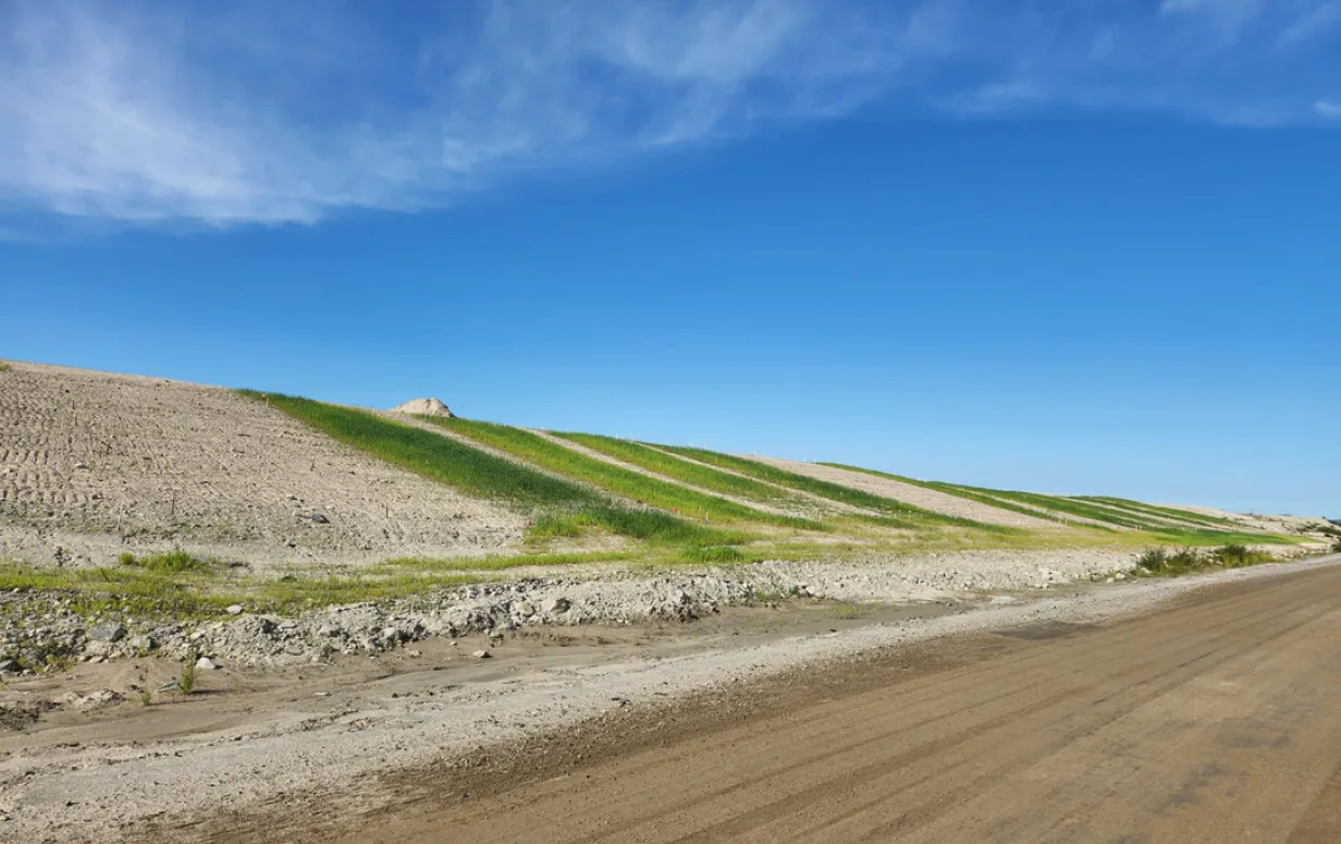 R&D test plot on a mixed dump.