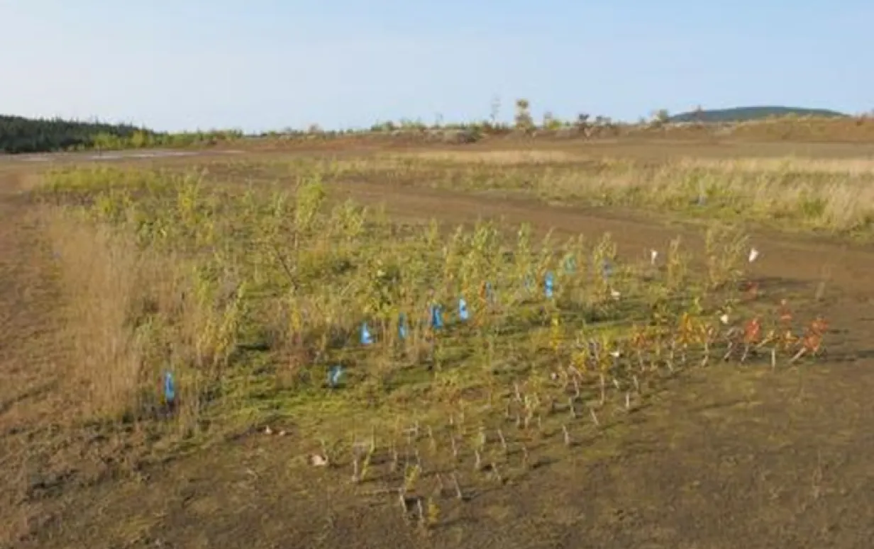 R&D tests on contaminated soil.