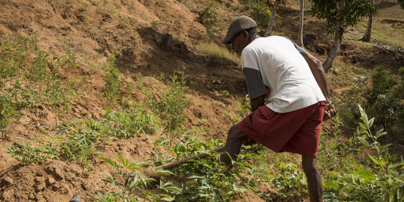 Landowner participating in the planting of a sustainable energy forest.