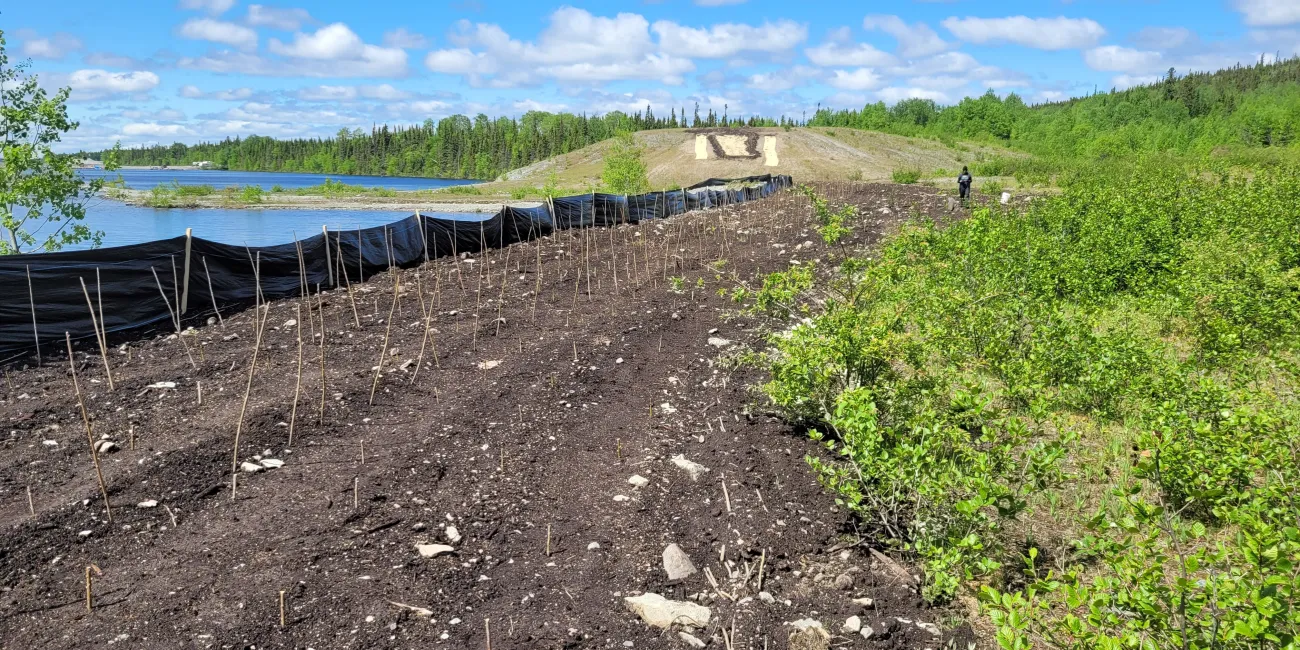 Section de terrain juste après les travaux de restauration écologique.