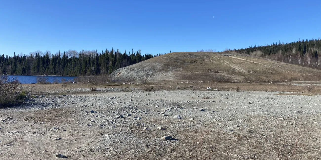 Arid landscape before ecological restoration.