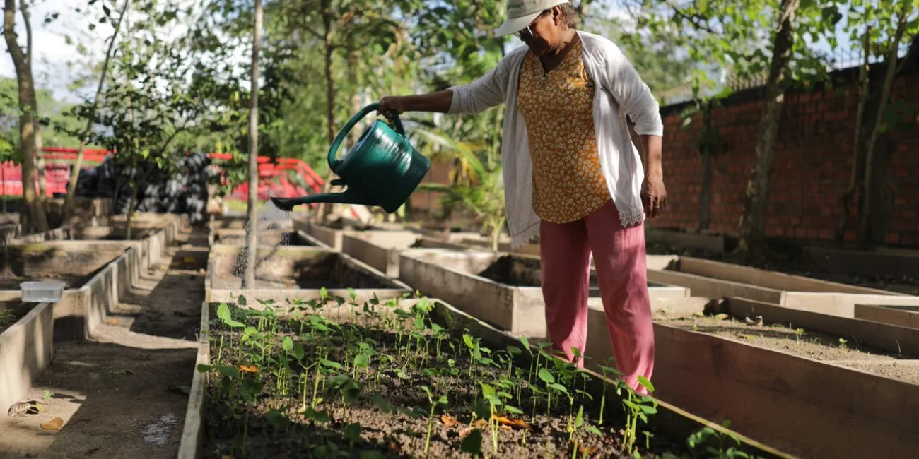 Trabajador de un vivero regando las semillas.