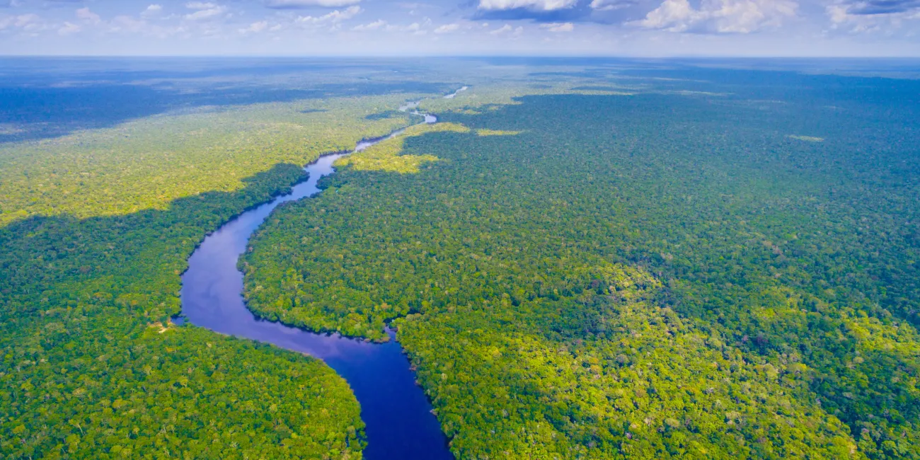 The Amazon in Brazil.