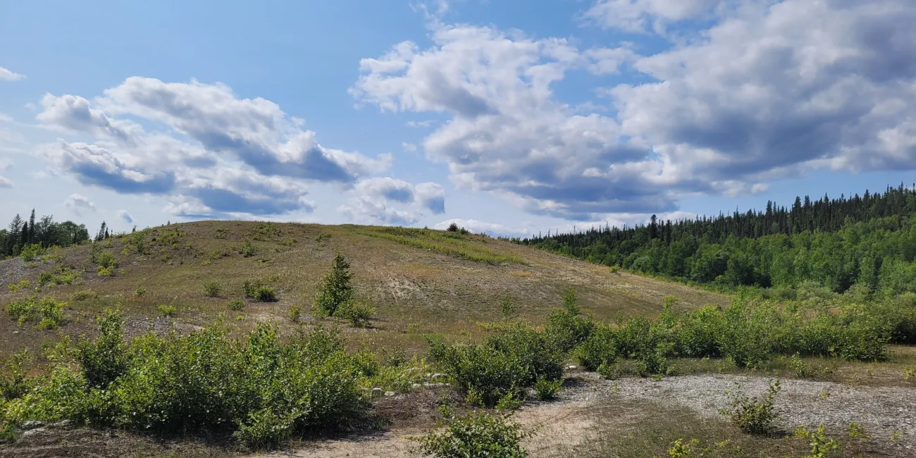 1 año después de las obras de restauración ecológica. Los signos de erosión en la ladera están más difuminados y la vegetación es mucho más abundante y diversa. Zona de Chibougamau, Quebec.