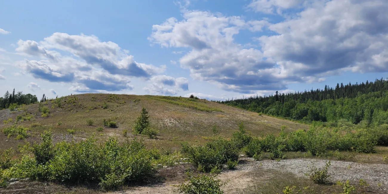 1 an après les travaux de restauration écologique. Les signes d’érosion sur la pente sont plus fanés et la végétation est beaucoup plus abondante et diversifiée. Région de Chibougamau, Québec.