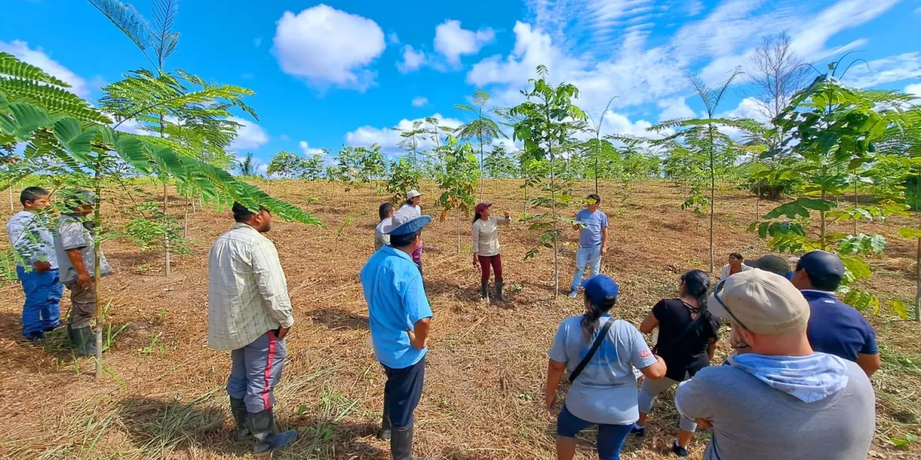 VT Peruvian team on a 6 months old restored land.